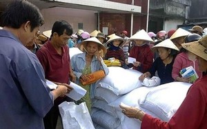 Hỗ trợ gạo cho 2 tỉnh Sóc Trăng, Nghệ An