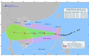 Ứng phó với bão Noru: Bộ Y tế yêu cầu trực chuyên môn, cấp cứu 24/24h