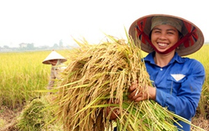 Việt Nam, Cuba hợp tác phát triển nông lương