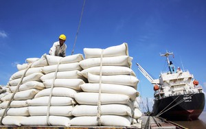 Việt Nam tuân theo quy luật thị trường về giá lúa gạo