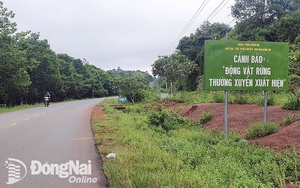 Tính toán kỹ phương án đầu tư tuyến đường kết nối tỉnh Bình Phước và Đồng Nai