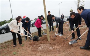 Thường trực Ban Bí thư Võ Văn Thưởng dự lễ phát động Tết trồng cây tại Hưng Yên