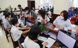 Căn cứ, trình tự xác định cơ cấu ngạch công chức