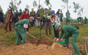 Các tỉnh miền Trung đồng loạt ra quân 'Tết trồng cây đời đời nhớ ơn Bác'