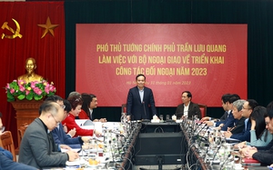 Phó Thủ tướng Trần Lưu Quang làm việc với Bộ Ngoại giao
