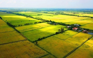 Đề xuất bổ sung quy định người sử dụng đất nông nghiệp được chuyển đổi cơ cấu cây trồng, vật nuôi