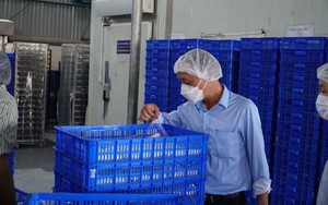 Miền Trung triển khai đợt cao điểm kiểm tra an toàn thực phẩm dịp Tết Quý Mão 2023