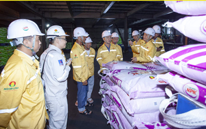 Công ty Phân bón Cà Mau đón nông dân tham quan nhà máy