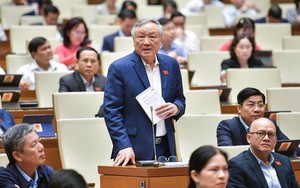Đại biểu Quốc hội băn khoăn về xác định giá trị thiệt hại 2 vụ án Vũ 'Nhôm' và cựu Chủ tịch Đà Nẵng