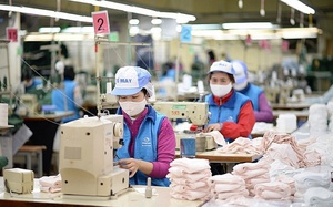 Xuất khẩu xanh: 'Luật chơi' mới doanh nghiệp Việt cần nắm rõ