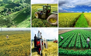 Tăng cường khả năng tiếp cận và hấp thụ vốn tín dụng của các HTX nông nghiệp
