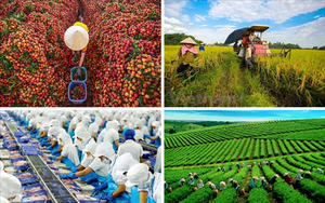 Nông nghiệp Việt Nam tiếp tục khẳng định vị thế trụ đỡ của nền kinh tế