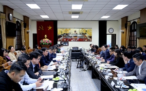 Bảo đảm sự tham gia hiệu quả, thiết thực, có trách nhiệm của Việt Nam tại Hội đồng Nhân quyền LHQ