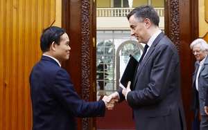 Phó Thủ tướng Trần Lưu Quang tiếp Chủ tịch Ủy ban Đối ngoại Nghị viện châu Âu