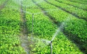 9 giải pháp đột phá phát triển nông nghiệp năm 2023