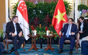 Thủ tướng đề nghị lãi suất ưu đãi cho các dự án năng lượng tái tạo tại Việt Nam