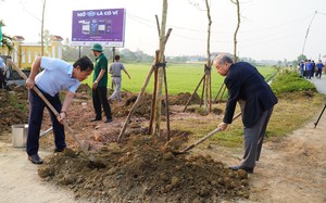 Lan tỏa 'Ngày Chủ nhật xanh - sạch - sáng' tại Thừa Thiên Huế
