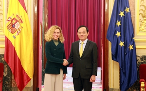 Phó Thủ tướng Trần Lưu Quang hội kiến Chủ tịch Hạ viện Tây Ban Nha, gặp gỡ thân mật kiều bào