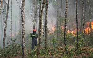 Quảng Trị diễn tập phương án phòng, chống cháy rừng trước mùa nắng nóng