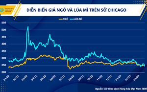 Ngành chăn nuôi và triển vọng khởi sắc sau 3 năm dịch bệnh