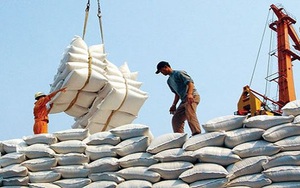 Indonesia cần 2 triệu tấn gạo dự trữ: Cơ hội tốt cho gạo Việt xuất khẩu