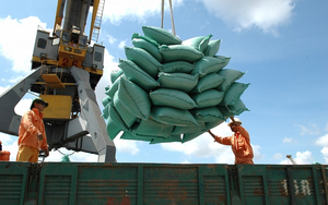 Bộ Công Thương: Khuyến cáo doanh nghiệp xuất khẩu gạo phòng ngừa rủi ro về giá cả