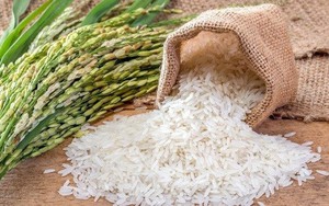 Giá trị xuất khẩu gạo tăng hơn 30%