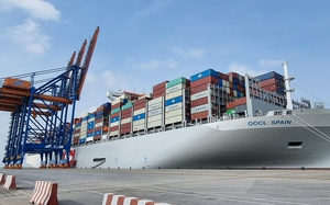Siêu tàu container lớn nhất cập cảng Cái Mép - Thị Vải