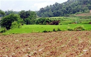 Điều kiện chuyển mục đích sử dụng đất nông nghiệp sang đất ở