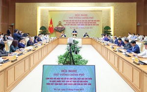 Thủ tướng Chính phủ chủ trì Hội nghị tháo gỡ khó khăn, thúc đẩy sản xuất, xuất khẩu lâm sản và thuỷ sản