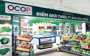 Tiêu chí điểm giới thiệu và bán sản phẩm OCOP