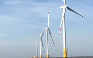 Bến Tre lấy điện gió làm hạt nhân phát triển kinh tế biển
