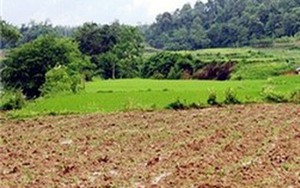 Chuyển mục đích sử dụng đất tại tỉnh Long An