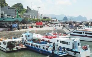 Kiểm tra tàu, xuồng hết đăng kiểm chở khách công khai ở Quảng Ninh