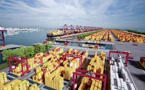 Cần Giờ (TPHCM) hội tụ đủ điều kiện để phát triển cảng trung chuyển quốc tế