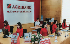 Đề xuất bổ sung 17.100 tỷ đồng vốn điều lệ cho Agribank