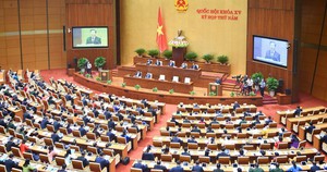 Các tổ chức quốc tế uy tín dự báo tích cực triển vọng kinh tế Việt Nam