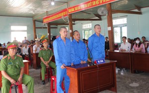 21 năm tù cho 3 đối tượng phá rừng quy mô lớn ở Kon Tum