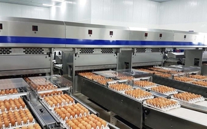 Hạn ngạch thuế quan nhập khẩu muối, trứng gia cầm năm 2023