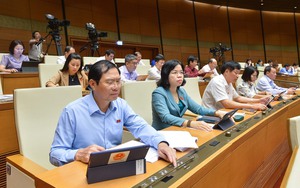 Quốc hội thông qua Luật Đấu thầu (sửa đổi)