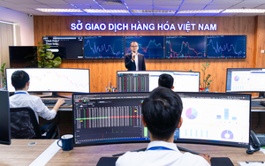Chính thức giao dịch hợp đồng quyền chọn hàng hóa tại Việt Nam