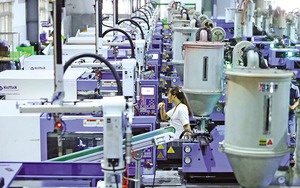 Sớm trình giải pháp về thuế tối thiểu toàn cầu