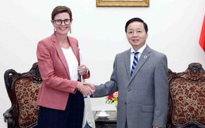 Phó Thủ tướng Trần Hồng Hà tiếp Trưởng đại diện Tổ chức Y tế Thế giới tại Việt Nam