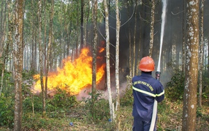 Khu vực miền Trung cảnh báo cháy rừng trên diện rộng