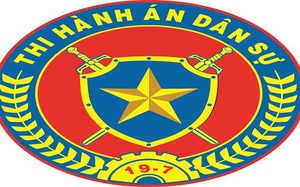 Sửa đổi cơ cấu tổ chức của Tổng cục Thi hành án dân sự