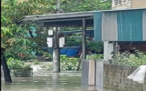 Lào  Cai: Sau mưa lũ, 11 TBA đã được cấp điện trở lại