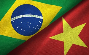 Thúc đẩy quan hệ hợp tác Việt Nam - Brazil