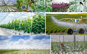 Phấn đấu 2030, 50% trang trại, HTX, doanh nghiệp nông, lâm, thủy sản tiếp cận công nghệ, quy trình sản xuất nông nghiệp tuần hoàn
