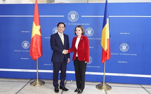 Thúc đẩy hợp tác ngoại giao giữa Việt Nam với Hungary và Romania