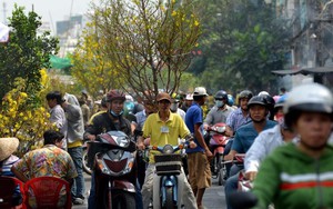 Thủ tướng chỉ đạo các giải pháp phòng ngừa tai nạn giao thông phục vụ Nhân dân đón Tết